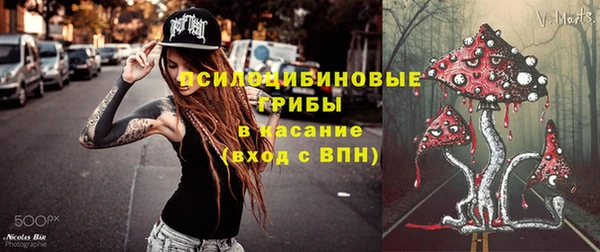 индика Алексеевка