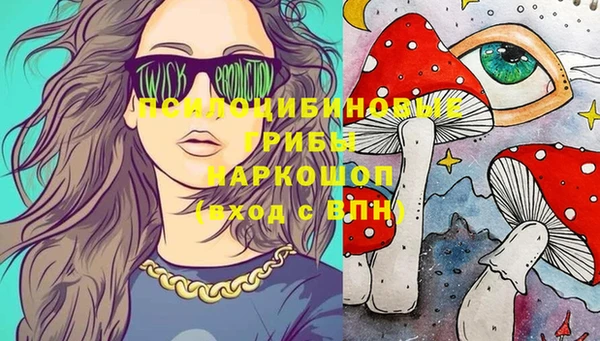 индика Алексеевка