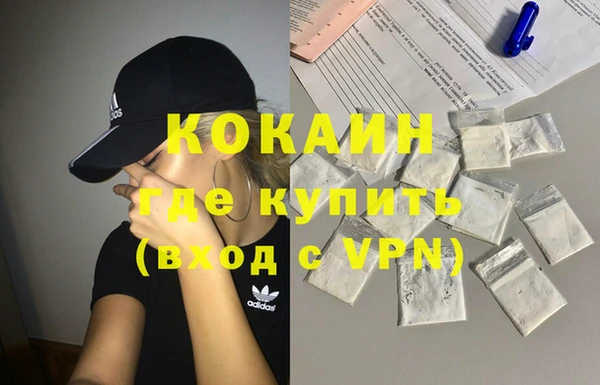индика Алексеевка
